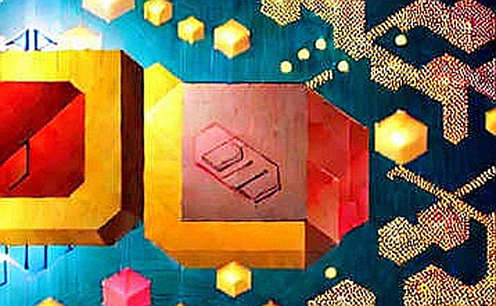 ETF QUANG MODULE LYTE: TÍN HIỆU HẠ TẦNG MÀ GIỚI ĐẦU TƯ BLOCKCHAIN VIỆT NAM ĐANG BỎ LỠ