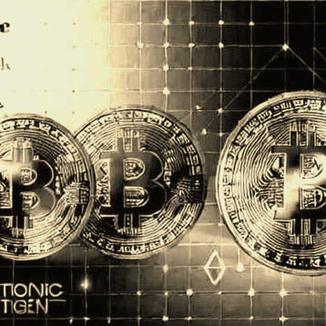 ETF QUANG MODULE LYTE: TÍN HIỆU HẠ TẦNG MÀ GIỚI ĐẦU TƯ BLOCKCHAIN VIỆT NAM ĐANG BỎ LỠ